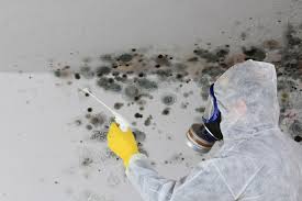 Mold Removal for HVAC Installations in Stanley, NC